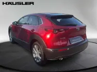 Neu Mazda CX-30 Exclusive-Line 140 PS (102 kW) 2025 Rot SUV