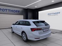 Gebraucht Skoda Octavia Style 150 PS (110 kW) 2023 Weiß Kombi