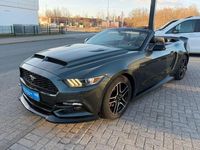 Gebraucht Ford Mustang Premium 317 PS (233 kW) 2015 Grün Cabrio