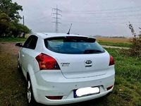 Usata Kia Ceed 90 CV (66 kW) 2011 Bianco Utilitaria