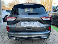 Gebraucht Ford Kuga ST-Line X 224 PS (164 kW) 2022 Grau SUV