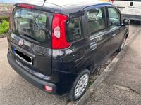 gebraucht Fiat Panda schwarz Bj 2019 55920km TÜV bis 7/24