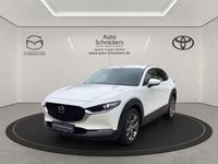 Gebraucht Mazda CX-30 Selection 186 PS (136 kW) 2023 Weiß SUV