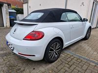 Gebraucht VW Beetle Sound 105 PS (77 kW) 2017 Weiß Kleinwagen