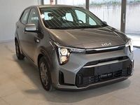 Neu Kia Picanto Vision 68 PS (50 kW) 2026 Grau Kleinwagen