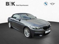 gebraucht BMW 218 iA Cabrio Sportpaket Bluetooth Navi LED Klima