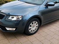 gebraucht Skoda Octavia OctaviaCombi 2.0 TDI (Green tec) 4x4 Style