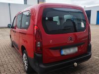 Gebraucht Citroën Berlingo Live 131 PS (96 kW) 2019 Rot Van / Kleinbus