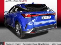 Gebraucht Lexus RX350h Sport Design Packet 250 PS (183 kW) 2024 Flammblau SUV