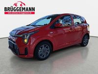 Neu Kia Picanto Vision 68 PS (50 kW) 2025 Rot Kleinwagen