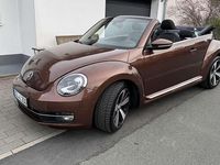 Gebraucht VW Beetle Allstar 105 PS (77 kW) 2016 Braun Kleinwagen