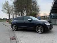 Gebraucht Audi SQ5 Comfort 313 PS (230 kW) 2014 Blau SUV