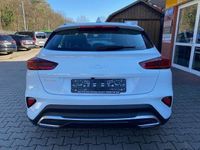 Gebraucht Kia XCeed Edition 7 120 PS (88 kW) 2024 Casa white SUV