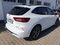 Neu Ford Kuga ST-Line 179 PS (131 kW) 2025 Weiß SUV