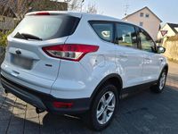 Gebraucht Ford Kuga 150 PS (110 kW) 2016 Weiß SUV
