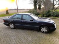 gebraucht Mercedes E220 cdi