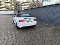 Gebraucht Audi S5 333 PS (244 kW) 2010 Coupé