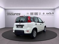 Gebraucht Fiat Panda 69 PS (50 kW) 2025 Weiß Limousine