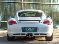 Gebraucht Porsche Cayman Basis 265 PS (194 kW) 2009 Weiß Coupé