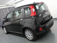 Gebraucht Fiat Panda 69 PS (50 kW) 2023 Schwarz Limousine