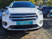 Gebraucht Ford Kuga Trend 120 PS (88 kW) 2017 Weiß SUV