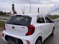 Gebraucht Kia Picanto 68 PS (50 kW) 2017 Weiß Kleinwagen