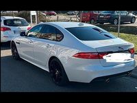 Używany Jaguar XF R 300 KM (220 kW) 2017 Biały Sedan/Limuzyna