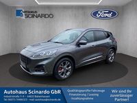 Gebraucht Ford Kuga ST-Line X 120 PS (88 kW) 2024 Grau SUV