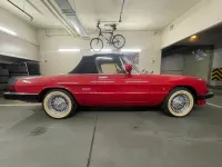 Gebraucht Alfa Romeo Spider 103 PS (75 kW) 1986 Rot Cabrio