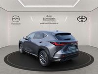 Gebraucht Lexus NX350h Executive Line 243 PS (178 kW) 2024 Grau SUV