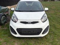 Gebraucht Kia Picanto 69 PS (50 kW) 2014 Weiß Kleinwagen