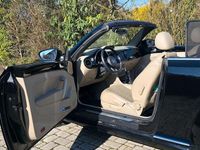 Gebraucht VW Beetle Design 105 PS (77 kW) 2014 Schwarz Kleinwagen