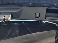 Gebraucht Ford Kuga Titanium 150 PS (110 kW) 2022 Grau SUV