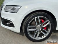 Gebraucht Audi SQ5 Competition 326 PS (239 kW) 2017 Weiß SUV