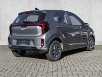 Neu Kia Picanto Vision 68 PS (50 kW) 2026 (m7g) astro grey m Kleinwagen