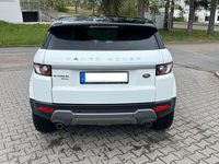 Gebraucht Land Rover Range Rover evoque Dynamic 190 PS (139 kW) 2014 Weiß SUV