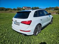 Gebraucht Audi SQ5 Sport 340 PS (250 kW) 2016 Weiß SUV