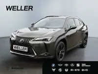 Gebraucht Lexus UX 250h 184 PS (135 kW) 2021 Gruen SUV