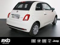 gebraucht Fiat 500C Basis 1.0 Mild Hybrid EU6d Aktionspreis !
