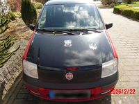 Gebraucht Fiat Panda Active 54 PS (39 kW) 2009 Rot Kleinwagen