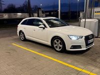 Gebraucht Audi A4 Design 150 PS (110 kW) 2019 Weiß Kombi