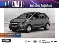 Gebraucht Kia Picanto Vision 67 PS (49 kW) 2024 (eu3) smoke blue Kleinwagen