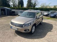 gebraucht VW Tiguan Track & Style 4Motion*Aut*Pan*Xen*Navi*AH