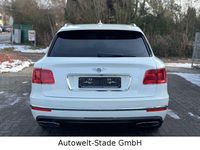 Gebraucht Bentley Bentayga 608 PS (447 kW) 2017 Weiß SUV