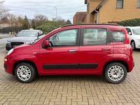 Gebraucht Fiat Panda 86 PS (63 kW) 2012 Rot Kleinwagen