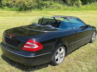 gebraucht Mercedes CLK500 Cabrio Avantgarde