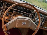 Gebraucht Cadillac Eldorado 173 PS (127 kW) 1979 Braun Coupé