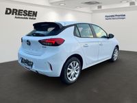 Gebraucht Opel Corsa Edition 101 PS (74 kW) 2024 Weiss Kleinwagen