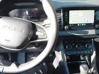 Gebraucht Skoda Karoq Selection 150 PS (110 kW) 2025 Blau SUV