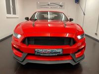 gebraucht Ford Mustang 2.3 Premium/Shely GT350/Sitzbel+Shz/Navi